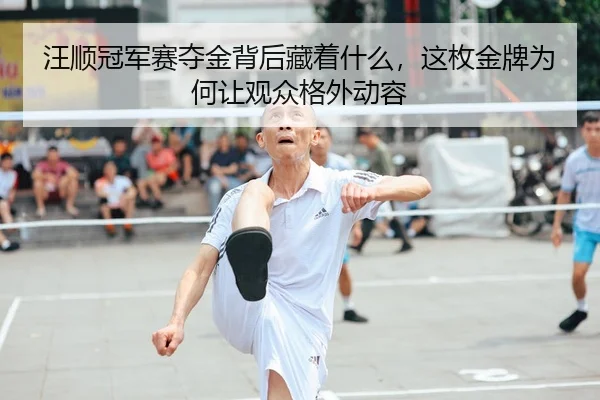 汪顺冠军赛夺金背后藏着什么，这枚金牌为何让观众格外动容