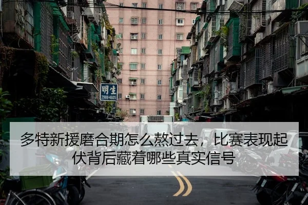 多特新援磨合期怎么熬过去,比赛表现起伏背后藏着哪些真实信号